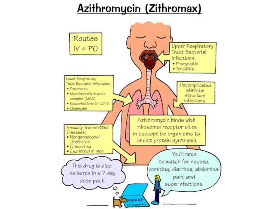 does azithromycin 250mg have penicillin in it