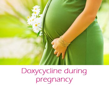 Doxycycline during pregnancy